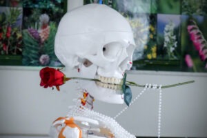 Hoffday 2026