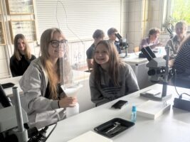 Preparowanie i etykietowanie owadów