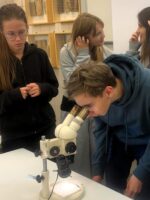 Preparowanie i etykietowanie owadów