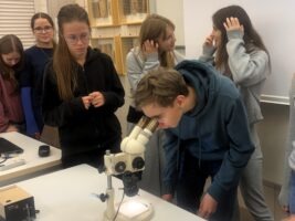 Preparowanie i etykietowanie owadów