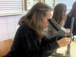 Preparowanie i etykietowanie owadów