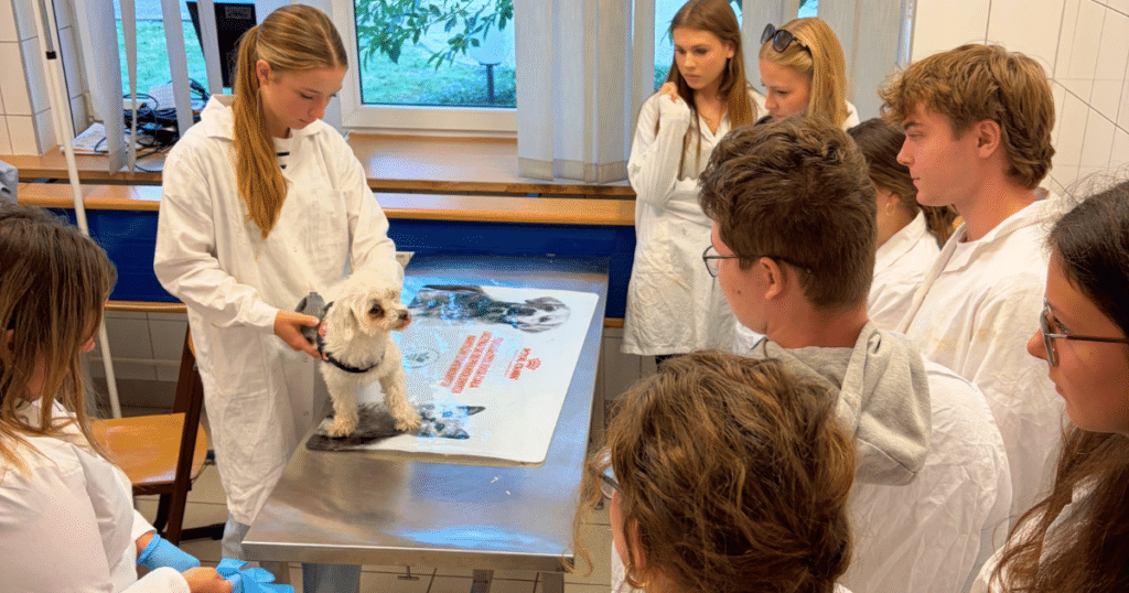 Klinika Małych Zwierząt SGGW